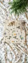 IMG-20250817-WA0009 - Edited_20250818_003113_0000.webp