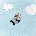 24.webp