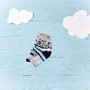 23.webp