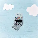 20.webp
